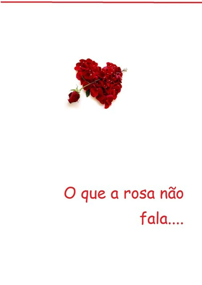 O Que A Rosa Nao Fala