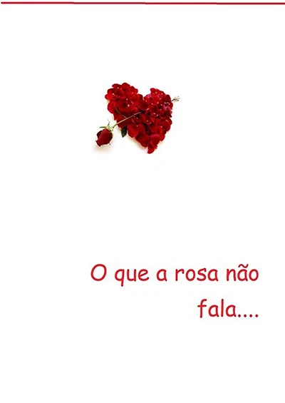 O Que A Rosa Nao Fala