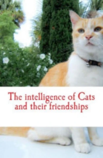 The intelligence of Cats and their friendships