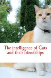 The intelligence of Cats and their friendships