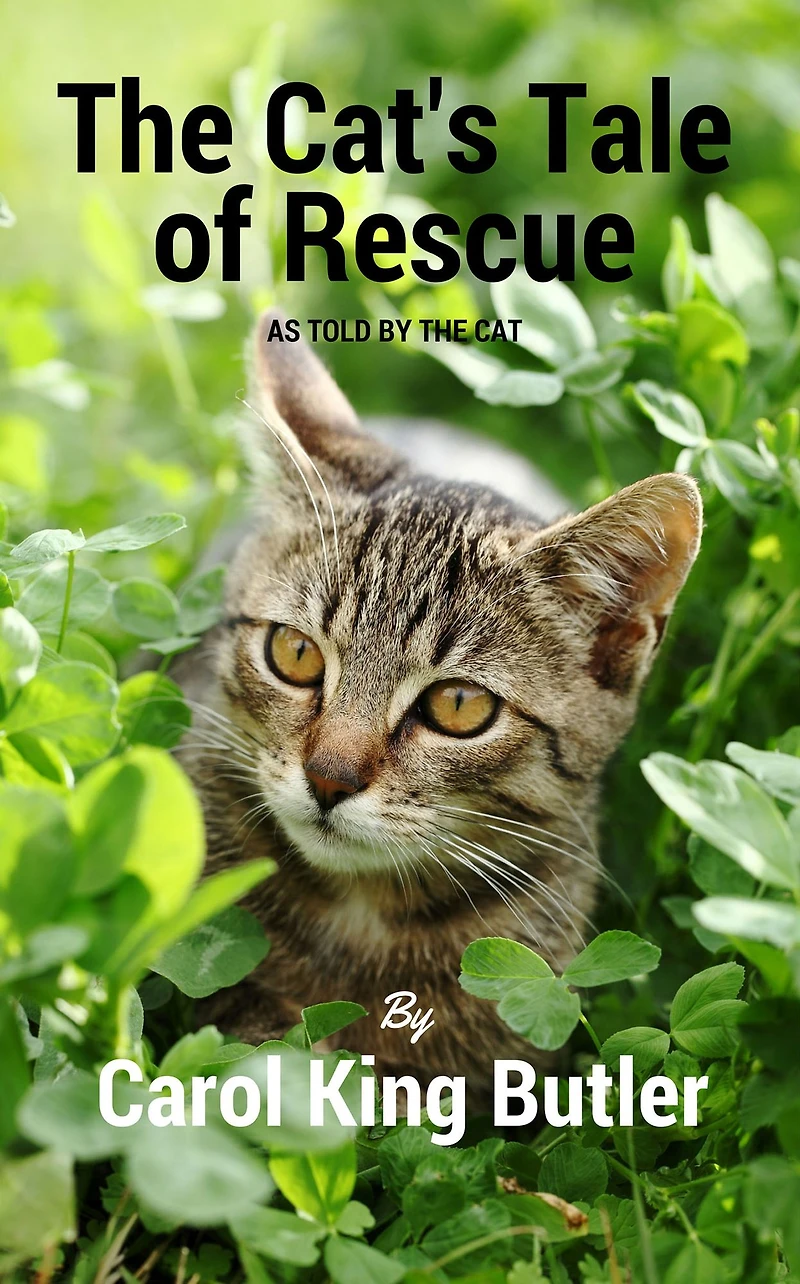 The Cat's Tale of Rescue