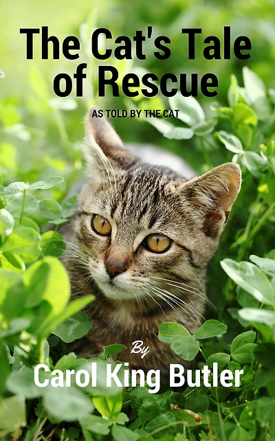 The Cat's Tale of Rescue