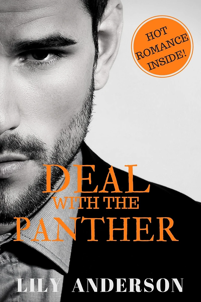 Deal With The Panther: A M/M Panther Shifter Romance (Book 3 in the M/M paranormal series)) STANDALONE