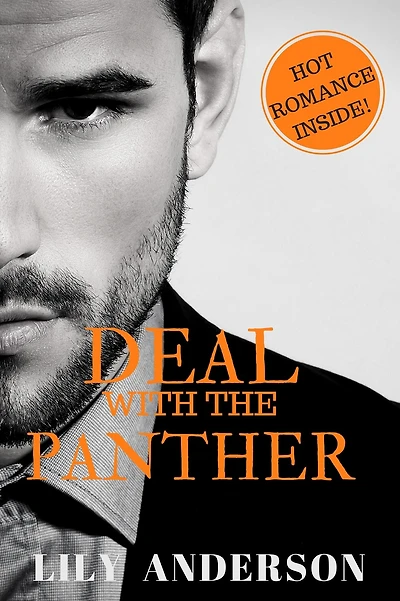 Deal With The Panther: A M/M Panther Shifter Romance (Book 3 in the M/M paranormal series)) STANDALONE