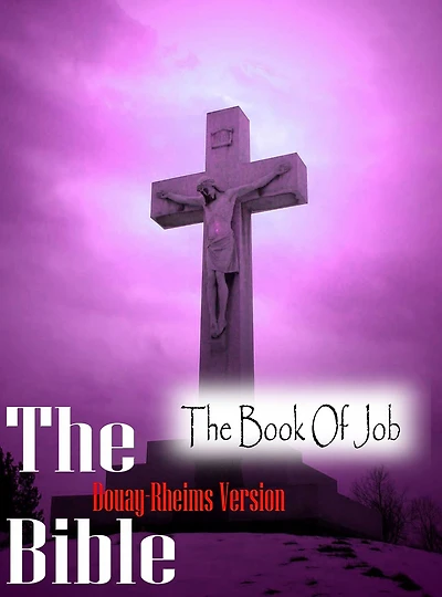 The Holy Bible Douay-Rheims Version,The Book Of Job