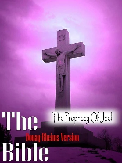 The Holy Bible Douay-Rheims Version, The Prophecy Of Joel