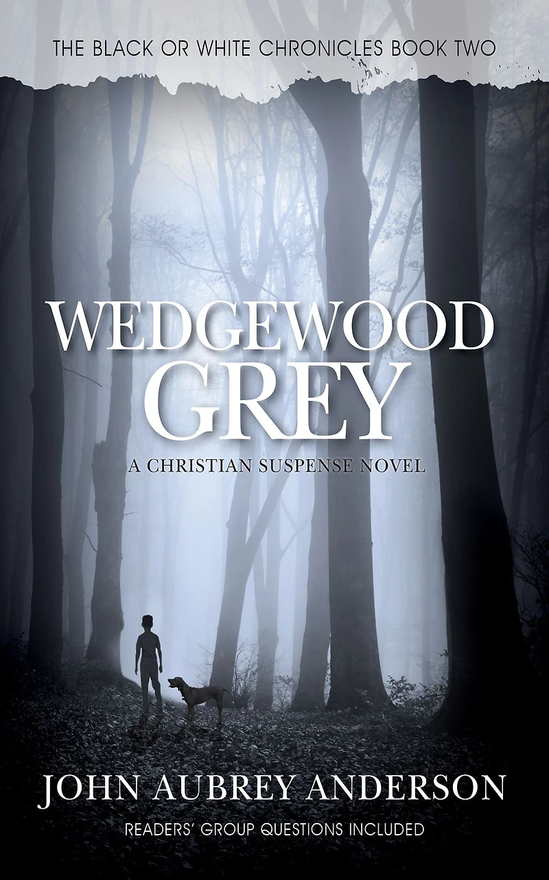 Wedgewood Grey, The Black or White Chronicles, Book Two