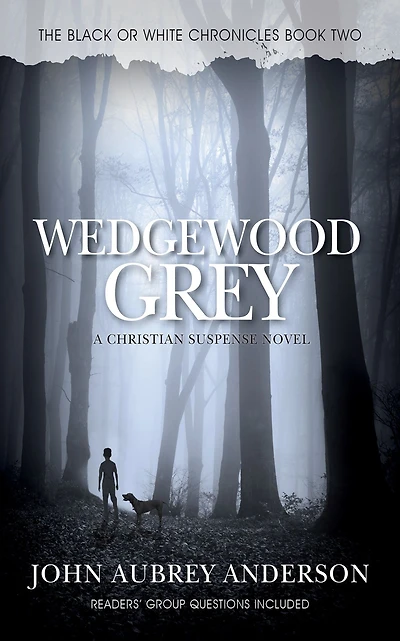 Wedgewood Grey, The Black or White Chronicles, Book Two