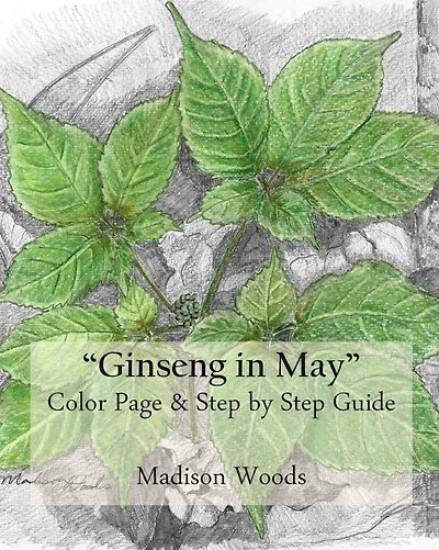 "Ginseng in May" Color Page