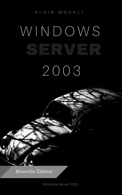 Un serveur de fichiers Sous Windows Server 2003 Instalation et manupulation