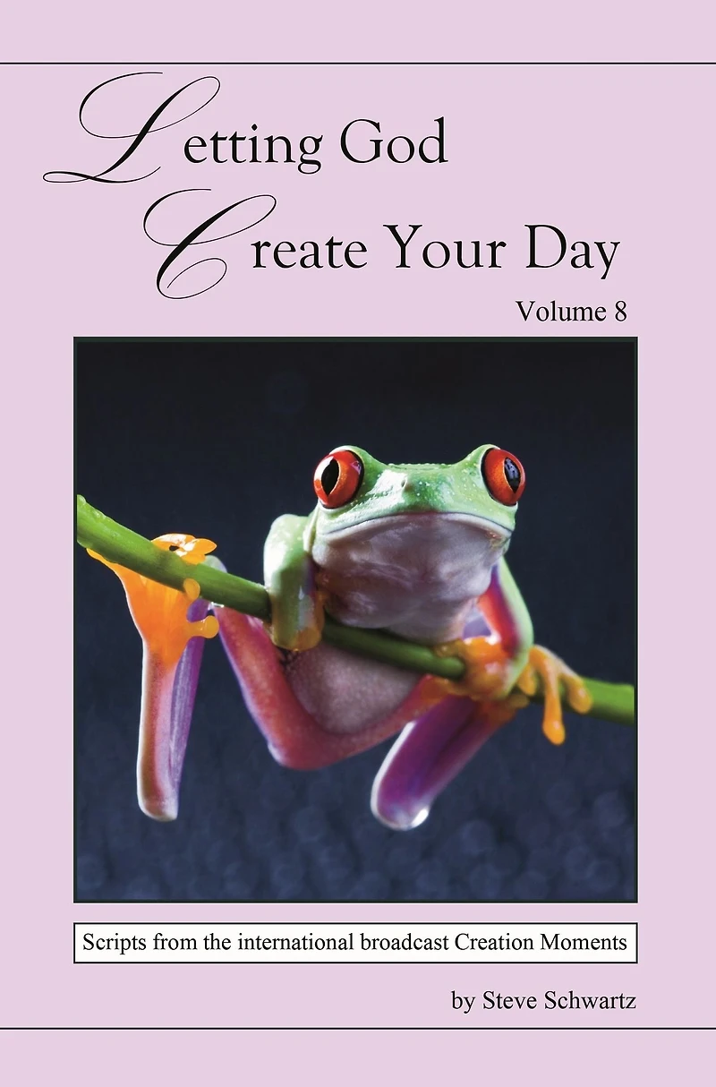 Letting God Create Your Day Vol 8