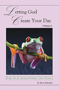 Letting God Create Your Day Vol 8