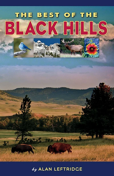 the Best of Black Hills