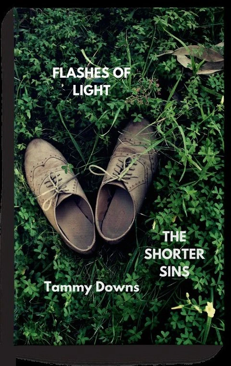Flashes of Light The Shorter Sins