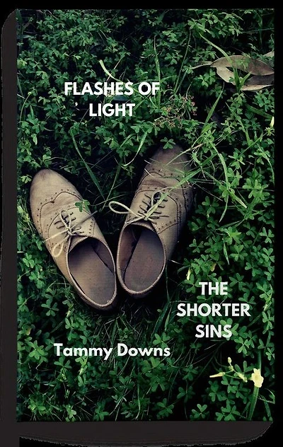 Flashes of Light The Shorter Sins