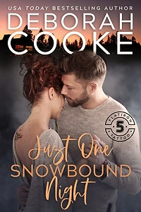 Just One Snowbound Night