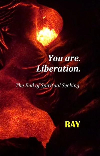 You are. Liberation.: The End of Spiritual Seeking