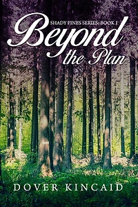 Beyond the Plan