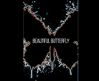 Beautiful Butterfly