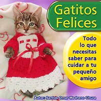 Gatitos felices: Todo lo que necesitas saber para cuidar a tu pequeño amigo