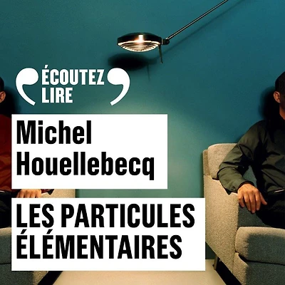 Les Particules élémentaires: Roman
