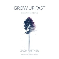 Grow Up Fast: Lessons from an AI Startup
