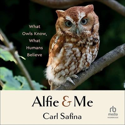 Alfie and Me: What Owls Know, Humans Believe