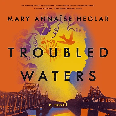 Troubled Waters: A Novel