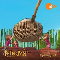 Staffel 2, Folge 23: Wendy verzettelt sich: Das Original-Hörspiel zur TV-Serie