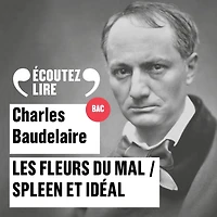 Les Fleurs du Mal, Spleen et Idéal