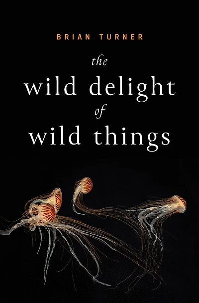 The Wild Delight of Things