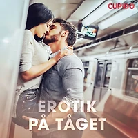 Erotik på tåget