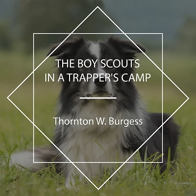 The Boy Scouts A Trapper's Camp