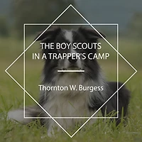 The Boy Scouts A Trapper's Camp