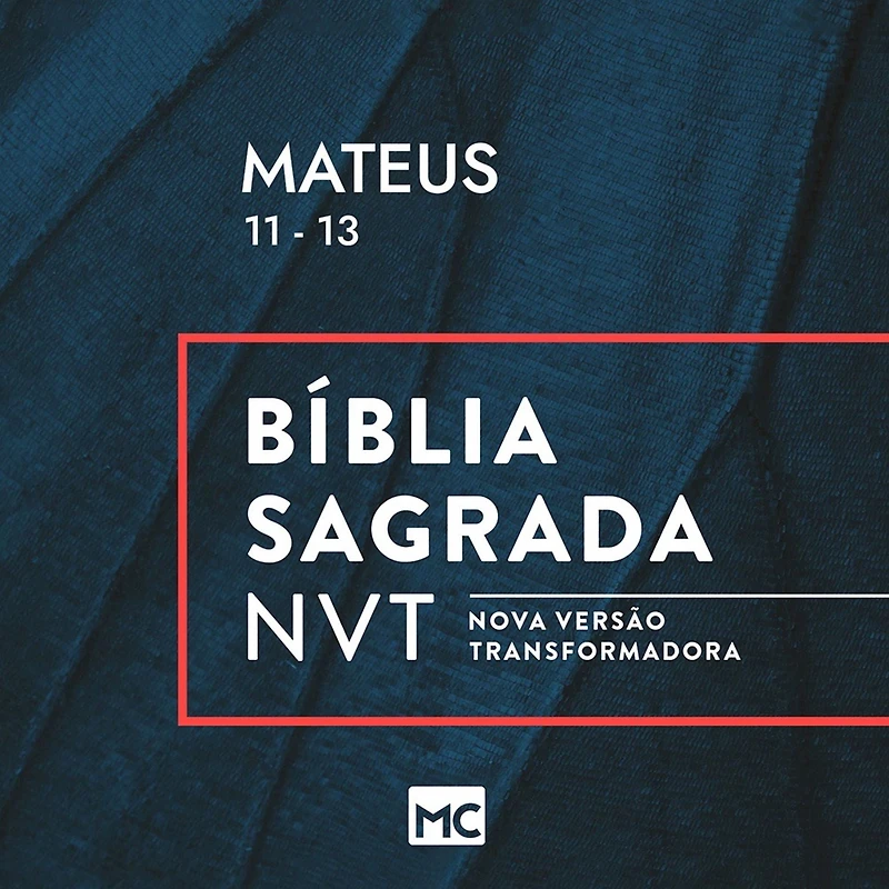 Mateus 11 - 13 (Abridged)