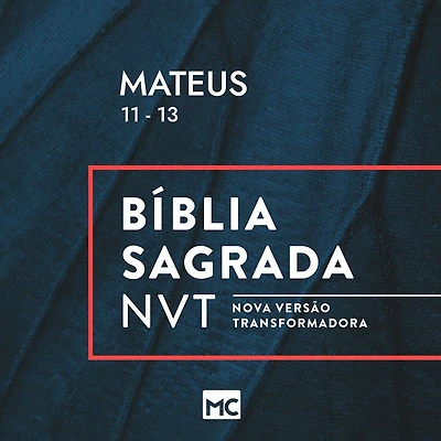 Mateus 11 - 13 (Abridged)
