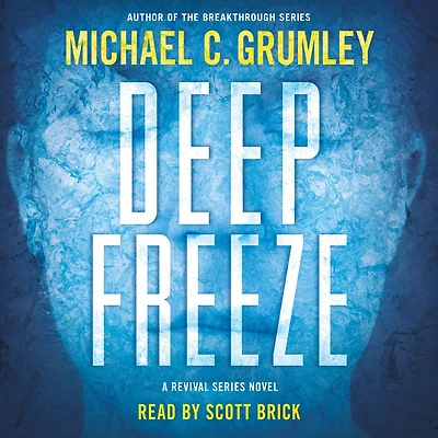 Deep Freeze: A Novel