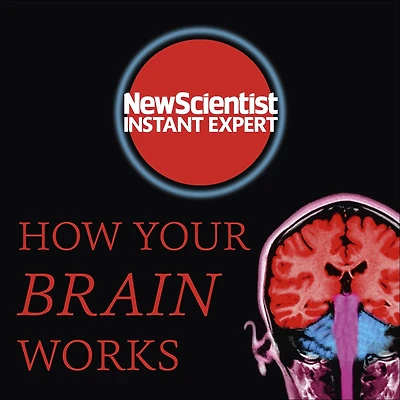 How Your Brain Works: Inside the most complicated object in the known universe