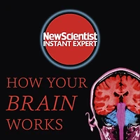 How Your Brain Works: Inside the most complicated object in the known universe