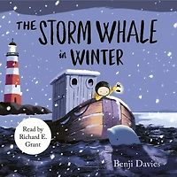The Storm Whale Winter