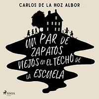 Un par de zapatos viejos en el techo de la escuela