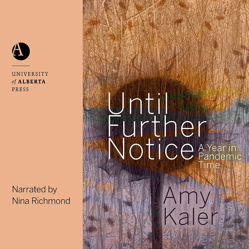 Until Further Notice: A Year Pandemic Time