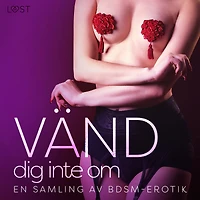 Vänd dig inte om: En samling av BDSM-erotik