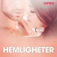 Hemligheter - erotiska noveller