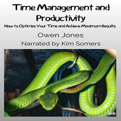 Time Management And Productivity: How To Optimise Your Achieve Maximum Results!