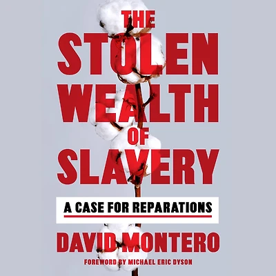 The Stolen Wealth of Slavery: A Case for Reparations