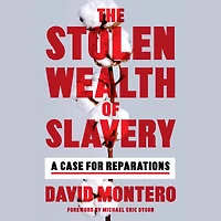The Stolen Wealth of Slavery: A Case for Reparations
