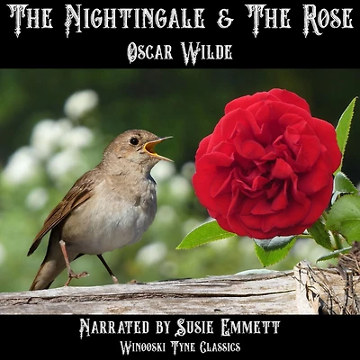 The Nightingale & the Rose