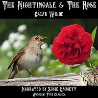 The Nightingale & the Rose