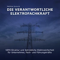 Die Verantwortliche Elektrofachkraft: VEFK-Struktur und Betriebliche Elektrosicherheit für Unternehmer, Fach und Führungskräfte
